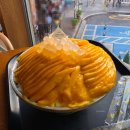 에이전트' | 쭈꾸미 맛집 '손의손 본점' | 와일드 씽 | 성심당 DCC점 망고빙수 |윤가황소곱창 도룡점 후기