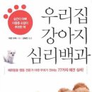 강아지집 이미지