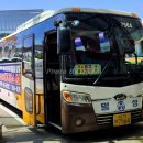 버스정류장-공설운동장 이미지