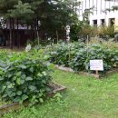 화랑공원 이미지