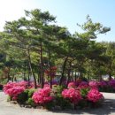 다덕파크 이미지