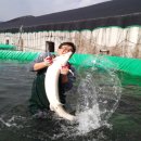 건강농장 이미지