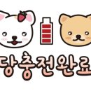 카페11월 이미지