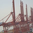 거제대로 이미지