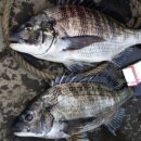 낚시회관낚시터 이미지