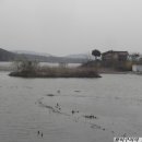 오산-청학-청학-5 이미지