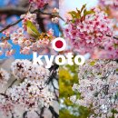 투어버스여행(주) | 오사카 교토 일일 버스투어 일본 교토 여행 후기