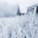 마음챙김연구소 이미지