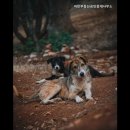 아인공인중개사사무소 이미지