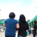 낙운중학교 이미지