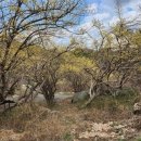 자양마을회관 이미지