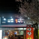 불막열삼 이미지