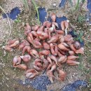 형철농장 이미지