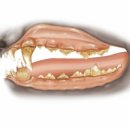 권동물병원 이미지