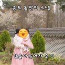 깡스냅 | 송도 쎄쎄쎄 돌잔치 스냅 후기 (감을아는여자)
