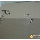 써리 독 이미지