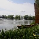 달빛별빛 이미지