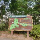 병점근린공원 배드민턴장 | 화성시 병점 구봉산 근린공원, 주민들의 건강활력소이자 최고의 쉼터