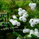 화요일 이미지
