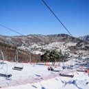 무주 덕유산 리조트 이미지