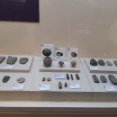 비봉리 패총전시관 이미지