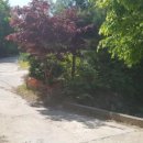 미래민박 이미지