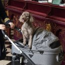 호텔명품서비스 이미지