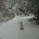 산방타이어 이미지