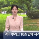 [뉴스] '유해동물 지정' 비둘기에게 밥 주는 비둘기맘 쫓아가봤습니다 ㅋㅋㅋ 이미지