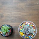 두마주민센터 이미지