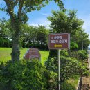 문준경전도사 순교지 이미지