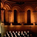 (공연) 파리나무십자가 소년합창단 크리스마스 특별초청공연 이미지