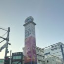 촉석로 | 2025년 진주남강 유등축제 방문후기 주차 음식 먹거리 정보