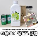 더블데이청포도퓨럽｜청포도하이볼 & 에이드 데일리 음료 후기