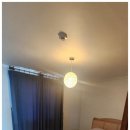 제주애견동반솔펜션 이미지