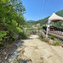 양평소나무펜션 이미지