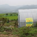 봉좌농장 이미지