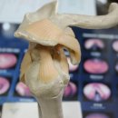 월드경희한의원 이미지