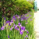 남사초등학교 이미지