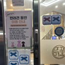 블루캔넬 이미지