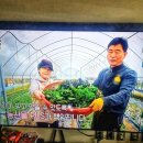 맘스터치용담점 | 청주 상당산성 가는 길, 점심특선 제육쌈밥으로 든든하게