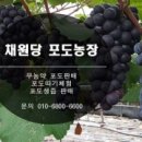 채원당 이미지