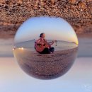 지니 나비 이미지