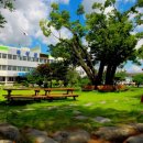 삼기 괴소 이미지