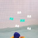 니드유 스테이 이미지