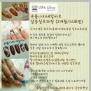 손톱네일 Daum카페