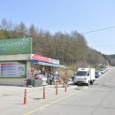 바우길 2구간 이미지