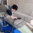 주식회사 클린환경 | 수원소파청소, 매트리스청소는 새로클린 영통점에서!ㅣ청소후기