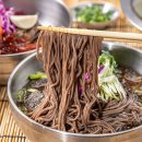 겐로쿠우동 후기_영등포 타임스퀘어 맛집, 냉메밀 추천!