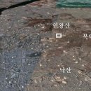 한양천도 629주년 기념 및 1394.11.29新遷都 後 조선왕조 역대군왕 수명 / 각종질환etc 이미지